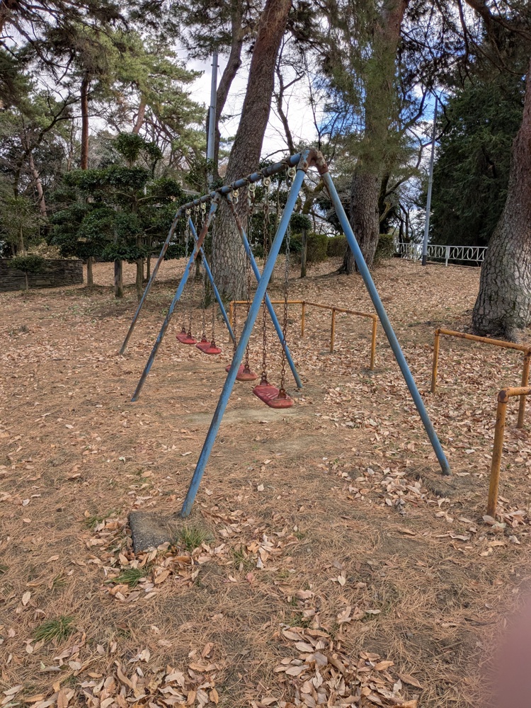 山の中にあったブランコ